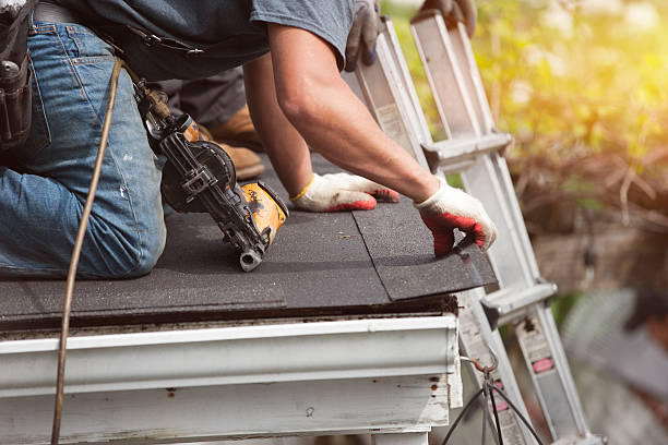Best Roof Gutter Cleaning  in Lithia Springs, GA